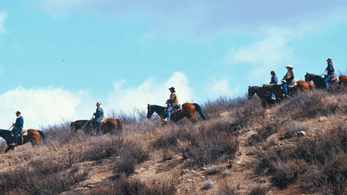 A group travels along a trail near 钻石谷湖 on horseback